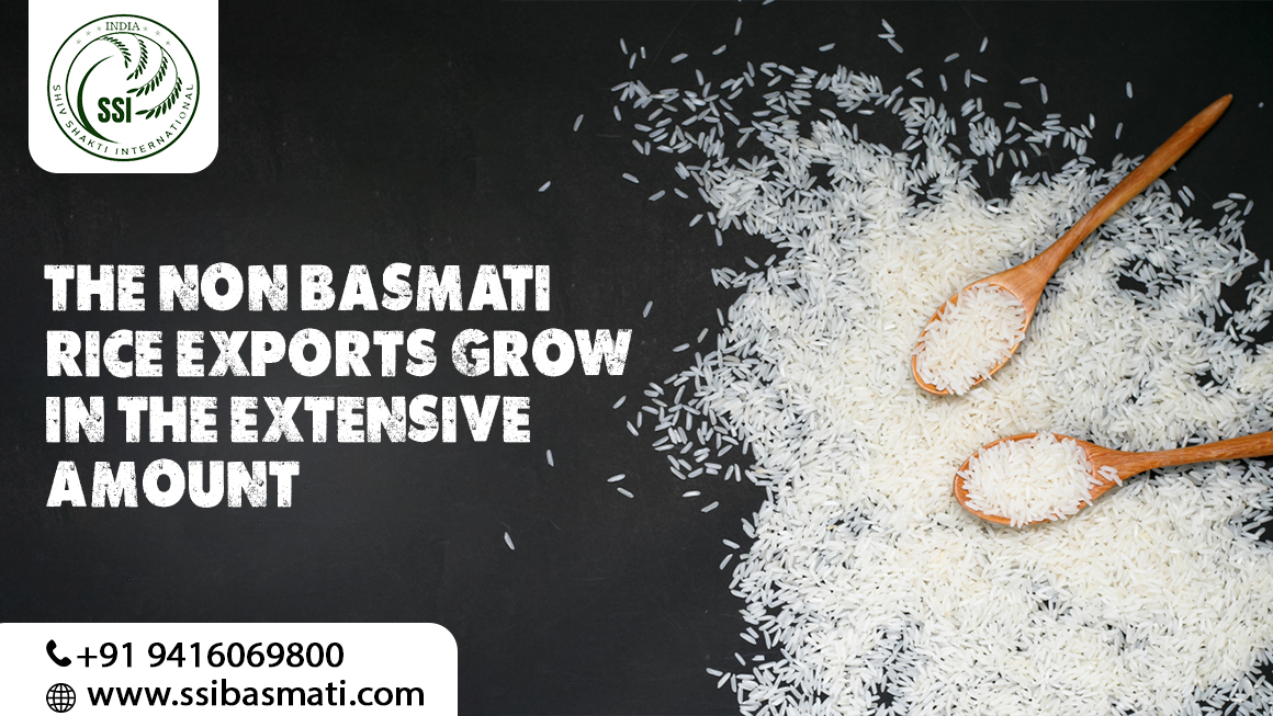 The Non-Basmati Rice Exports Grow in the Extensive amount